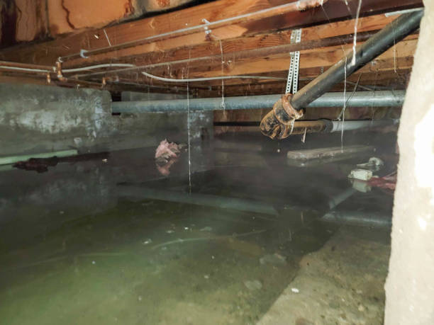 Best Water damage contractors near me  in Massapequa Park, NY