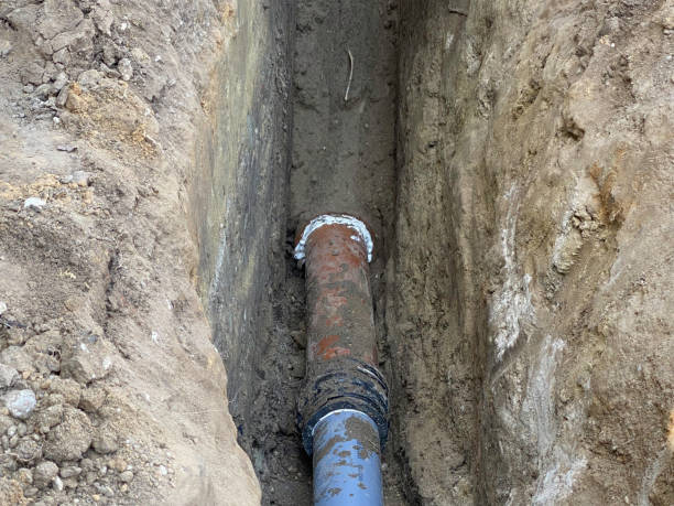 Best Local water damage restoration  in Massapequa Park, NY