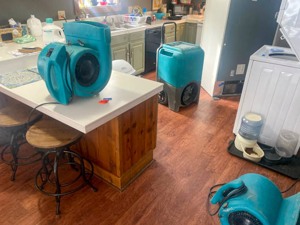Best Water damage restoration cost  in Massapequa Park, NY