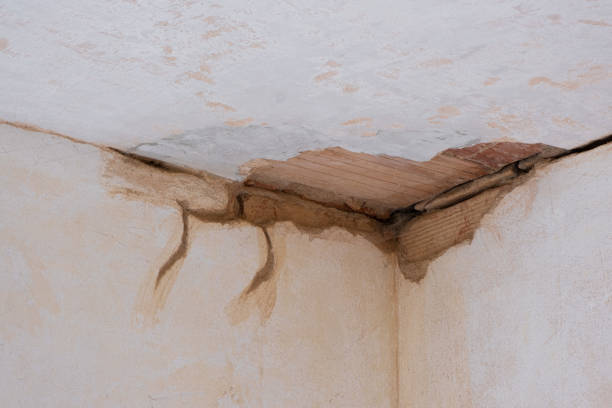 Best Flood restoration services  in Massapequa Park, NY