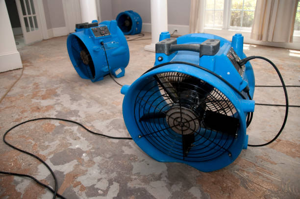  Massapequa Park, NY Water damage restoration Pros