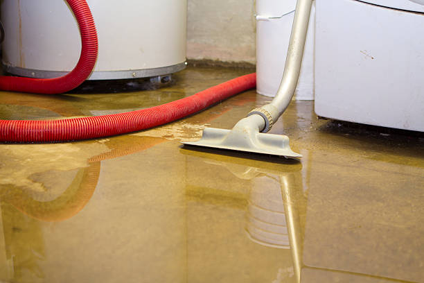 Best Commercial water damage restoration  in Massapequa Park, NY