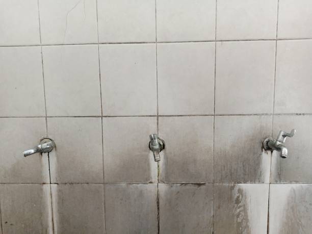 Best Carpet water damage restoration  in Massapequa Park, NY