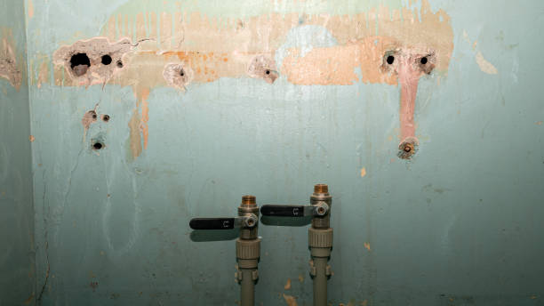 Best Flooded house restoration  in Massapequa Park, NY