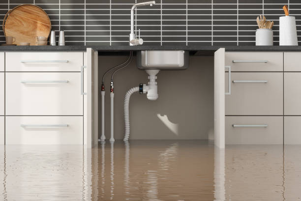 Best Water damage restoration mold remediation  in Massapequa Park, NY