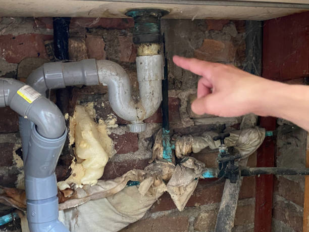 Best Water damage restoration experts  in Massapequa Park, NY