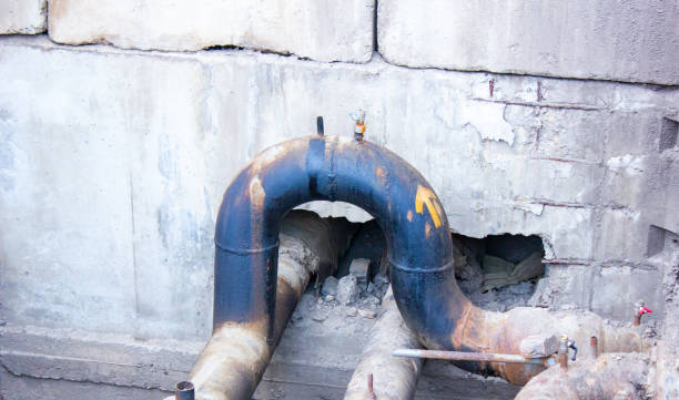 Best Flood damage cleanup  in Massapequa Park, NY