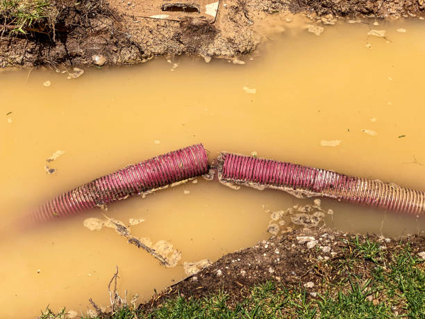 Trusted Massapequa Park, NY Water damage restoration Experts