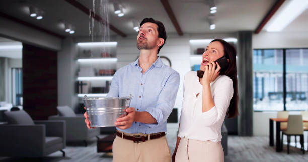 Best Ceiling water damage repair  in Massapequa Park, NY