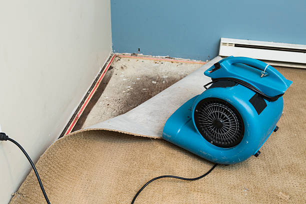 Best Professional water damage repair  in Massapequa Park, NY